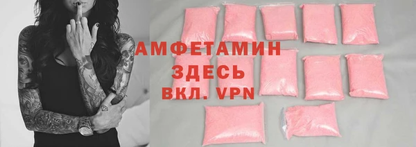 СК Алексин