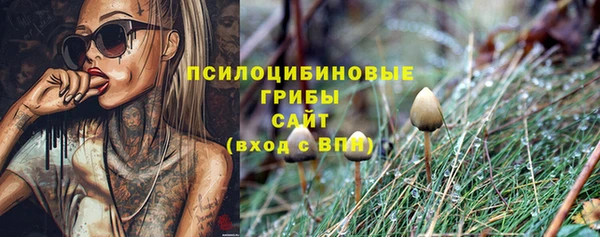 мяу мяу мука Армянск