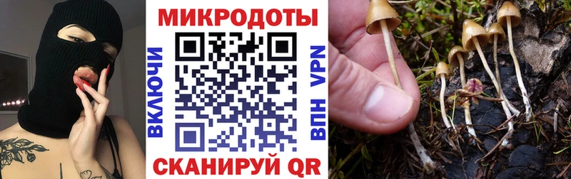наркошоп  Сосновый Бор  Галлюциногенные грибы Cubensis 
