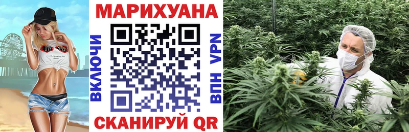 Бошки Шишки марихуана Сосновый Бор